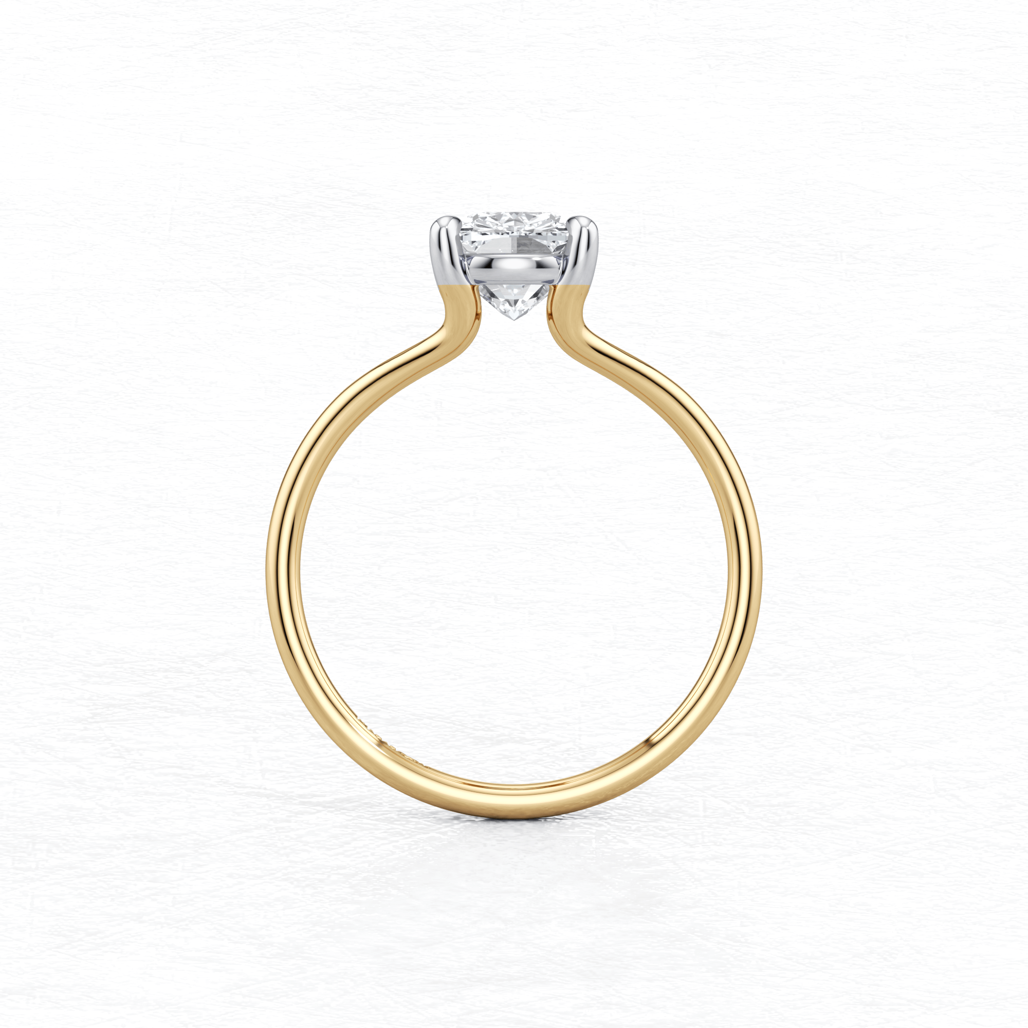 Maggy Solitaire Engagement Ring in two tone having a sleek design