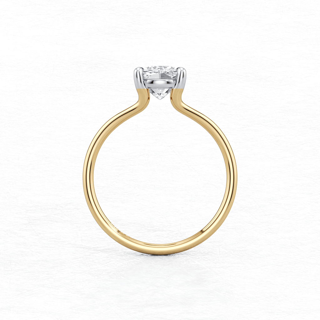 Maggy Solitaire Engagement Ring in two tone having a sleek design